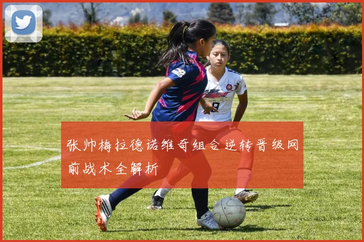 张帅梅拉德诺维奇组合逆转晋级网前战术全解析